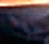 e0103408_9144068.gif