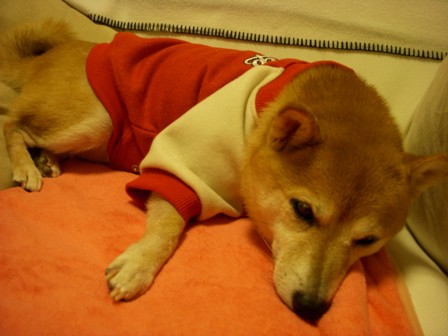 f0004309_13382012.jpg