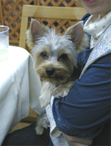 c0157412_22475235.jpg