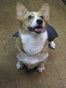 c0157412_22595493.jpg