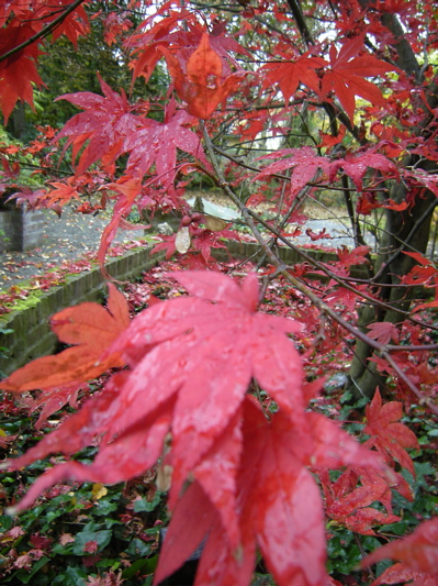 c0167813_20153044.jpg