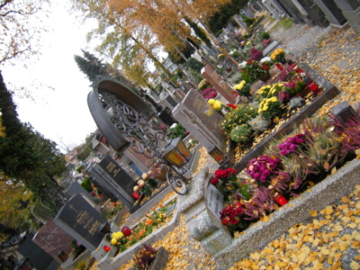 c0167813_2024866.jpg