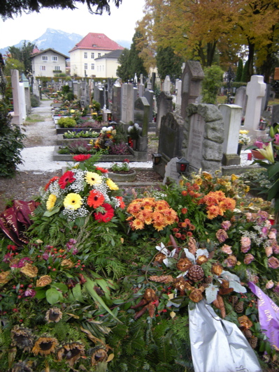 c0167813_2064780.jpg