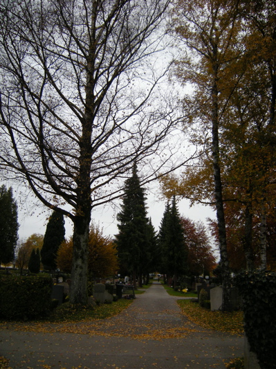 c0167813_2091919.jpg