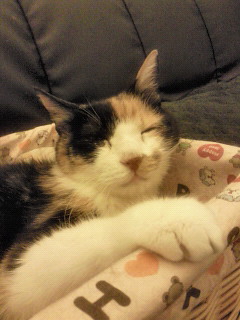 c0201113_20343727.jpg