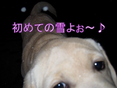 e0192217_2275642.jpg