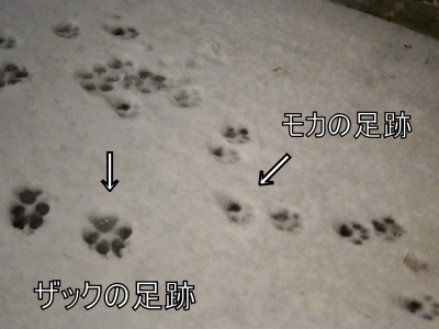 e0192217_2284558.jpg