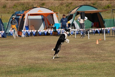e0121418_15231476.jpg