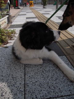 c0090220_0455931.jpg