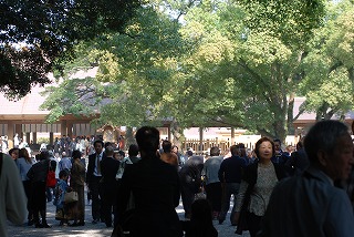 f0011322_2259929.jpg