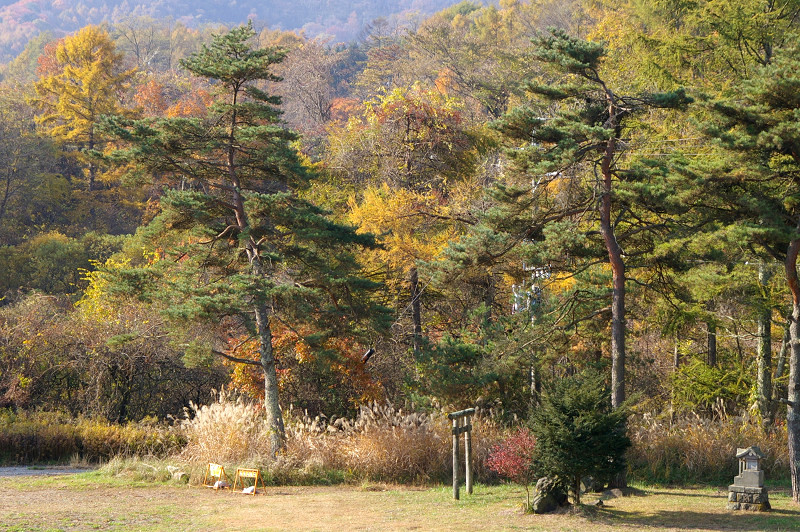 e0136424_11144180.jpg