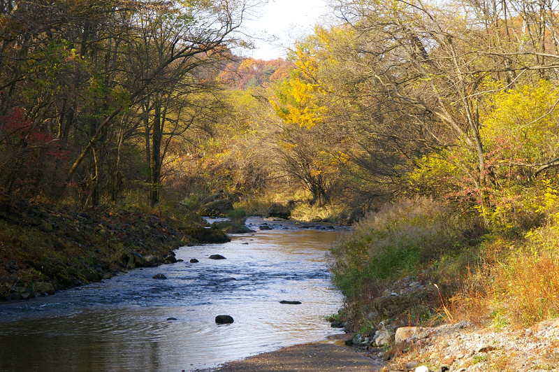 e0136424_11181921.jpg