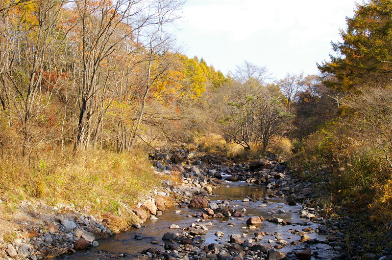 e0136424_11252547.jpg