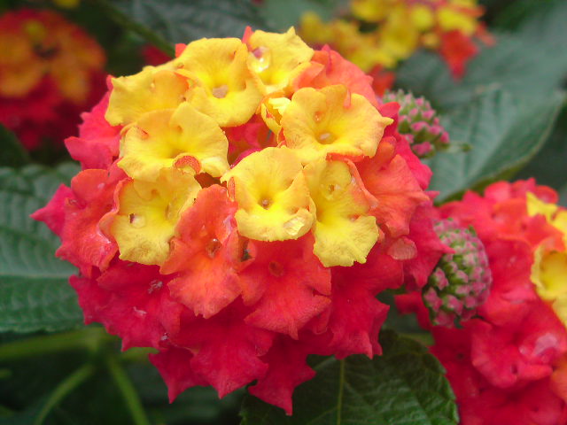 e0016828_1232812.jpg