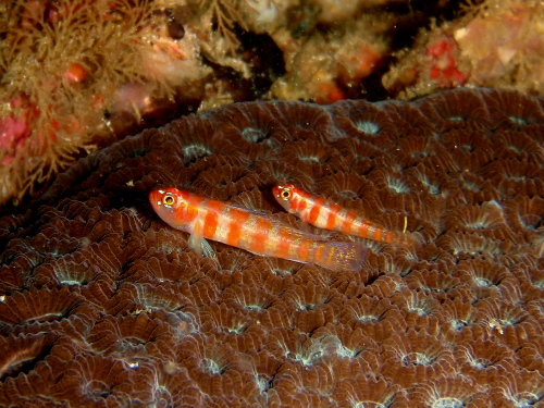 c0034029_23462760.jpg