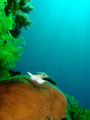 c0034029_23463851.jpg