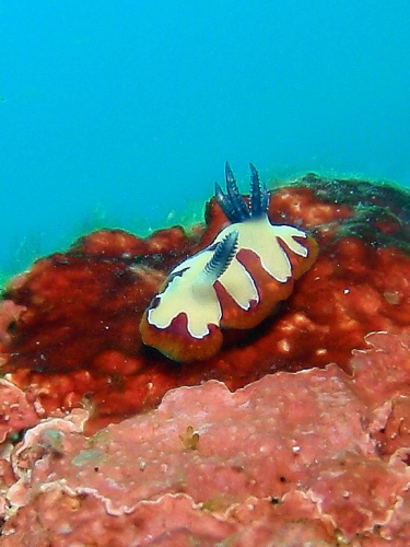 c0034029_23474537.jpg