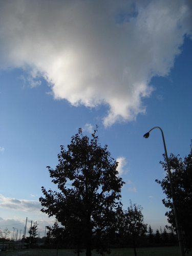 b0168830_7422733.jpg