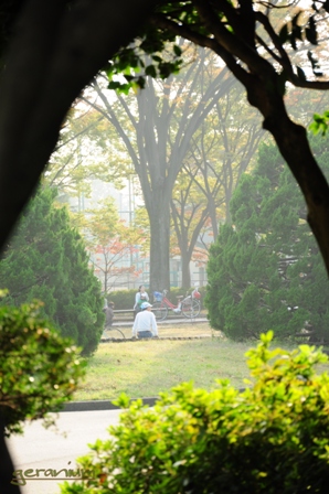 c0133533_2226933.jpg