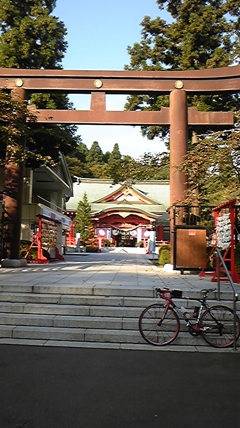 f0161333_70072.jpg