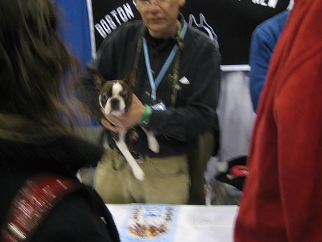 c0132537_532626.jpg