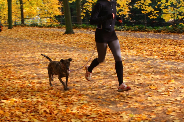 c0153740_20122514.jpg
