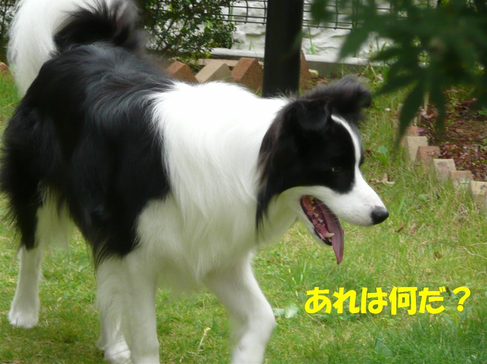 c0147241_021237.jpg