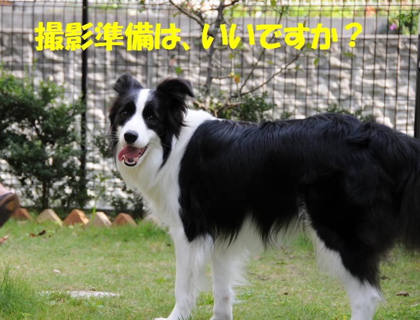 c0147241_022598.jpg