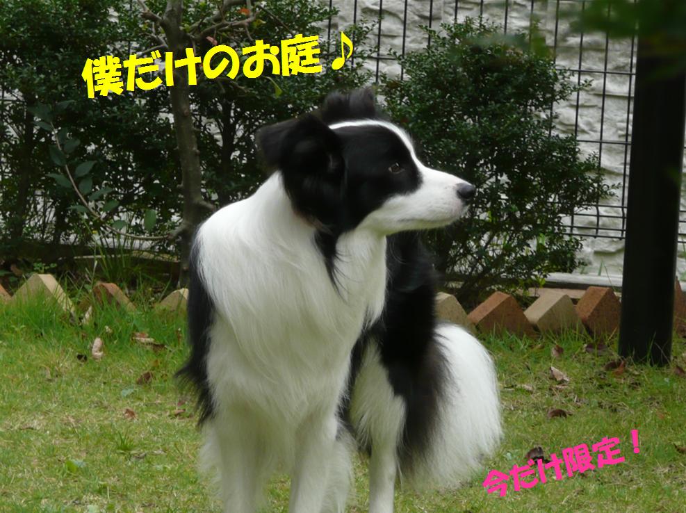 c0147241_02460.jpg