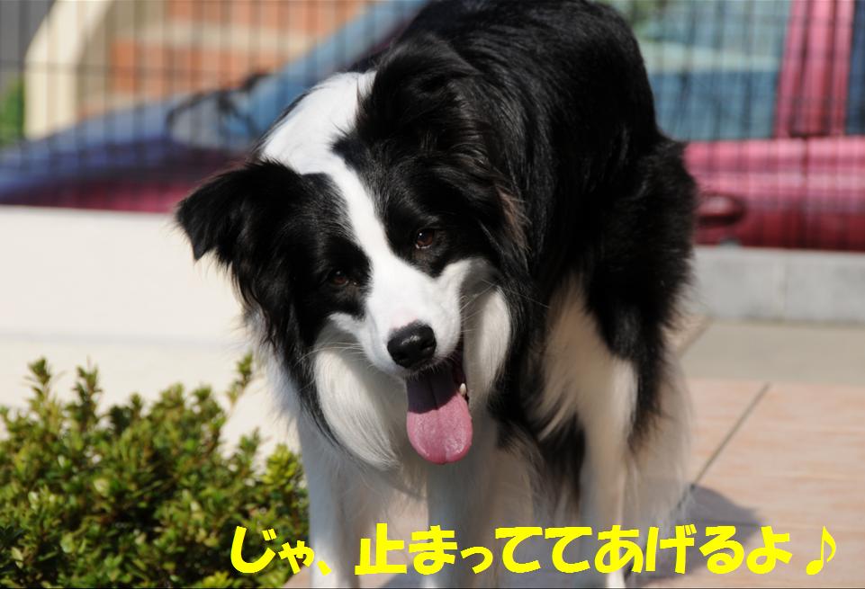 c0147241_025570.jpg
