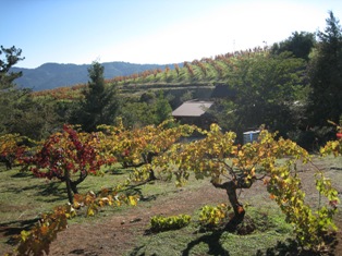 c0164041_15413340.jpg
