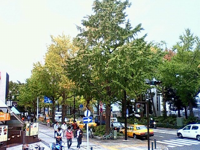 f0179947_23435477.jpg
