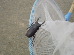 e0005548_0372648.jpg