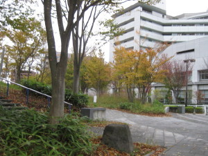 e0121548_2029282.jpg