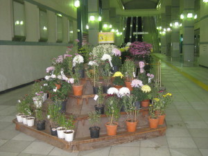 e0121548_2036720.jpg