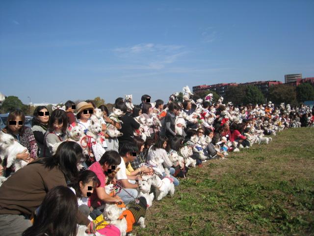 c0225949_13184832.jpg
