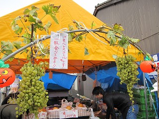 d0031853_8295779.jpg