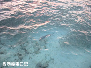 f0190653_20525496.jpg