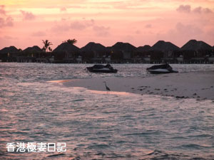 f0190653_20532590.jpg