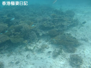 f0190653_9342489.jpg
