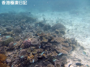 f0190653_9343843.jpg