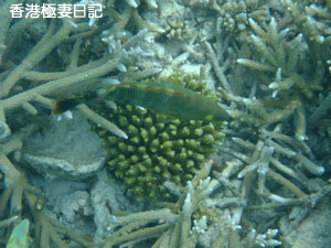 f0190653_9353314.jpg