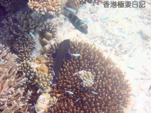 f0190653_9355221.jpg