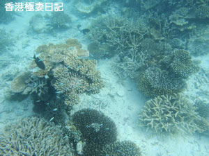 f0190653_93629.jpg