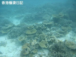 f0190653_9363523.jpg