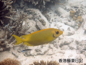 f0190653_9365652.gif