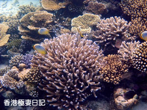 f0190653_9372941.jpg