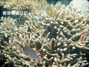 f0190653_9381475.jpg