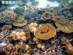 f0190653_9382571.jpg