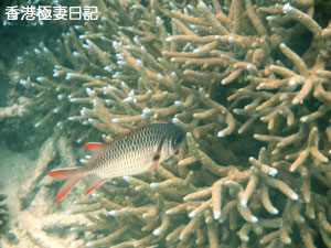 f0190653_93837.jpg